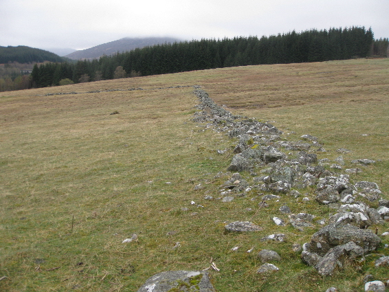 Stone head dyke at Auchdrumnahuagie
